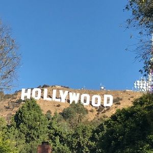 Meet your Posher, Goat